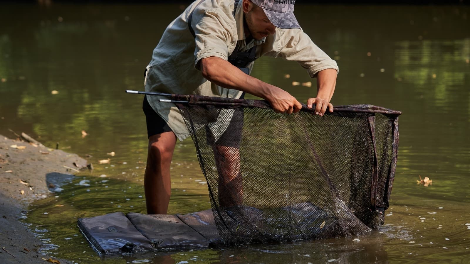 Cuidado de la carpa