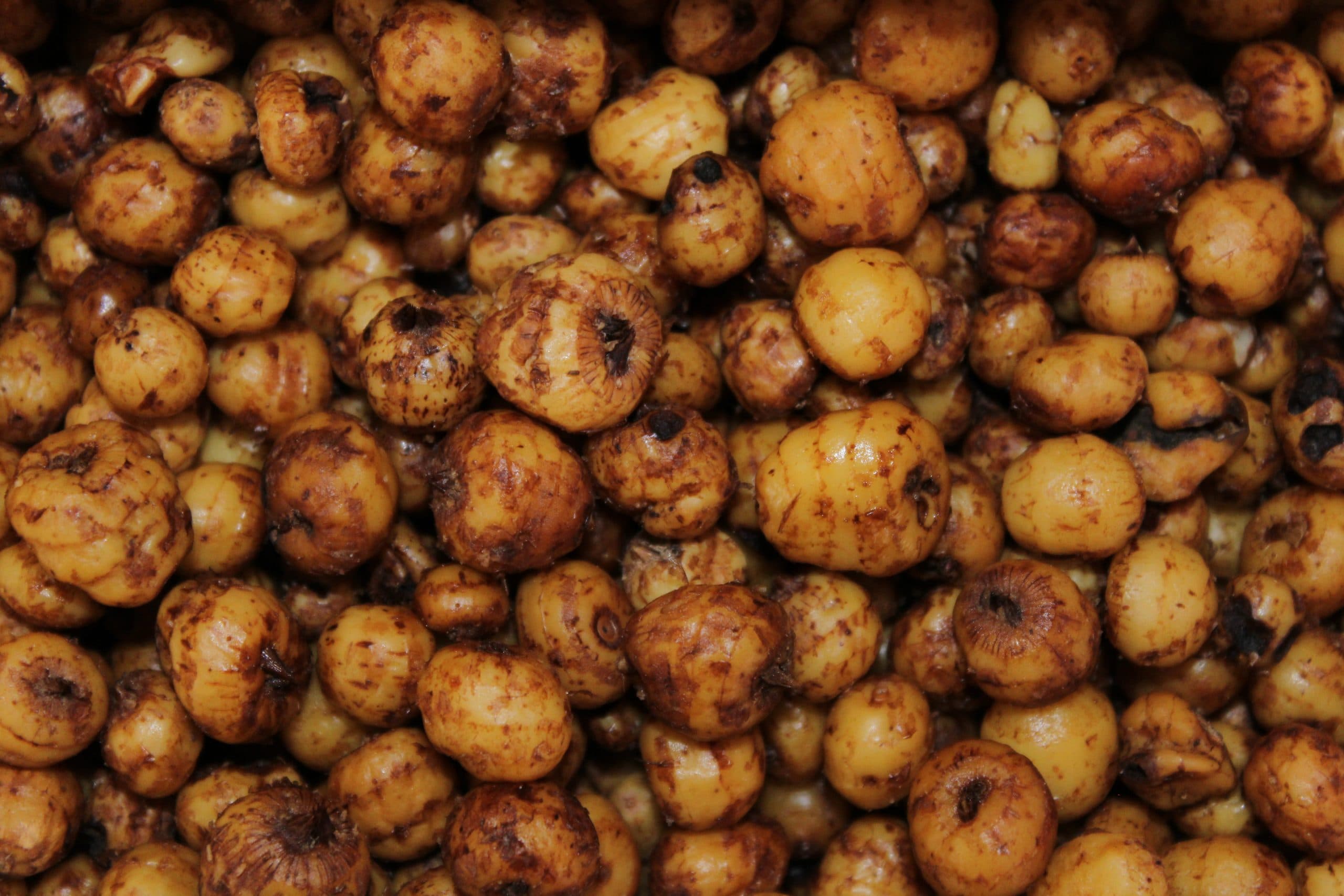 Chufa Cocida Trybion PVA Friendly 2,5 kg