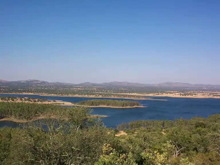 Carpfishing en el embalse de Horno Tejero