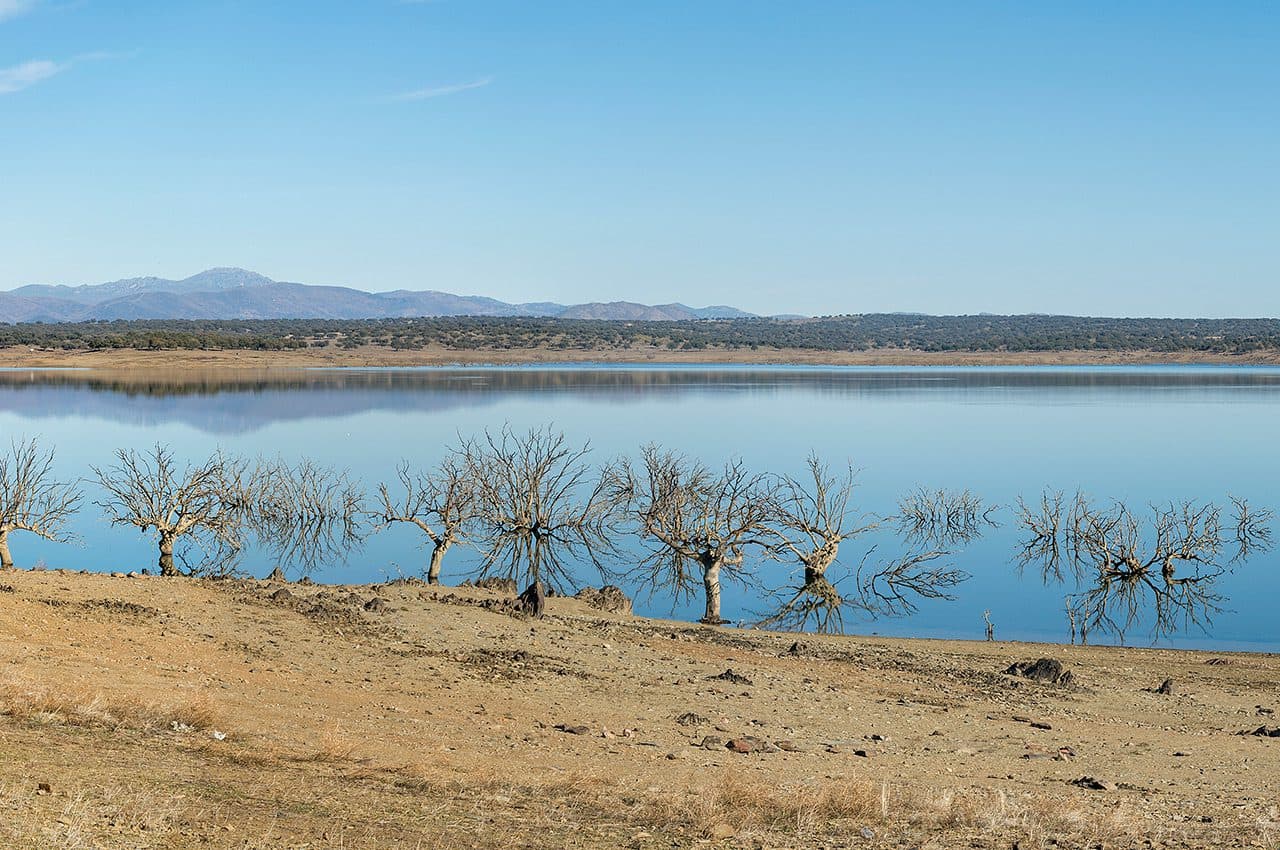 Carpfishing en el embalse de Sierra Brava.