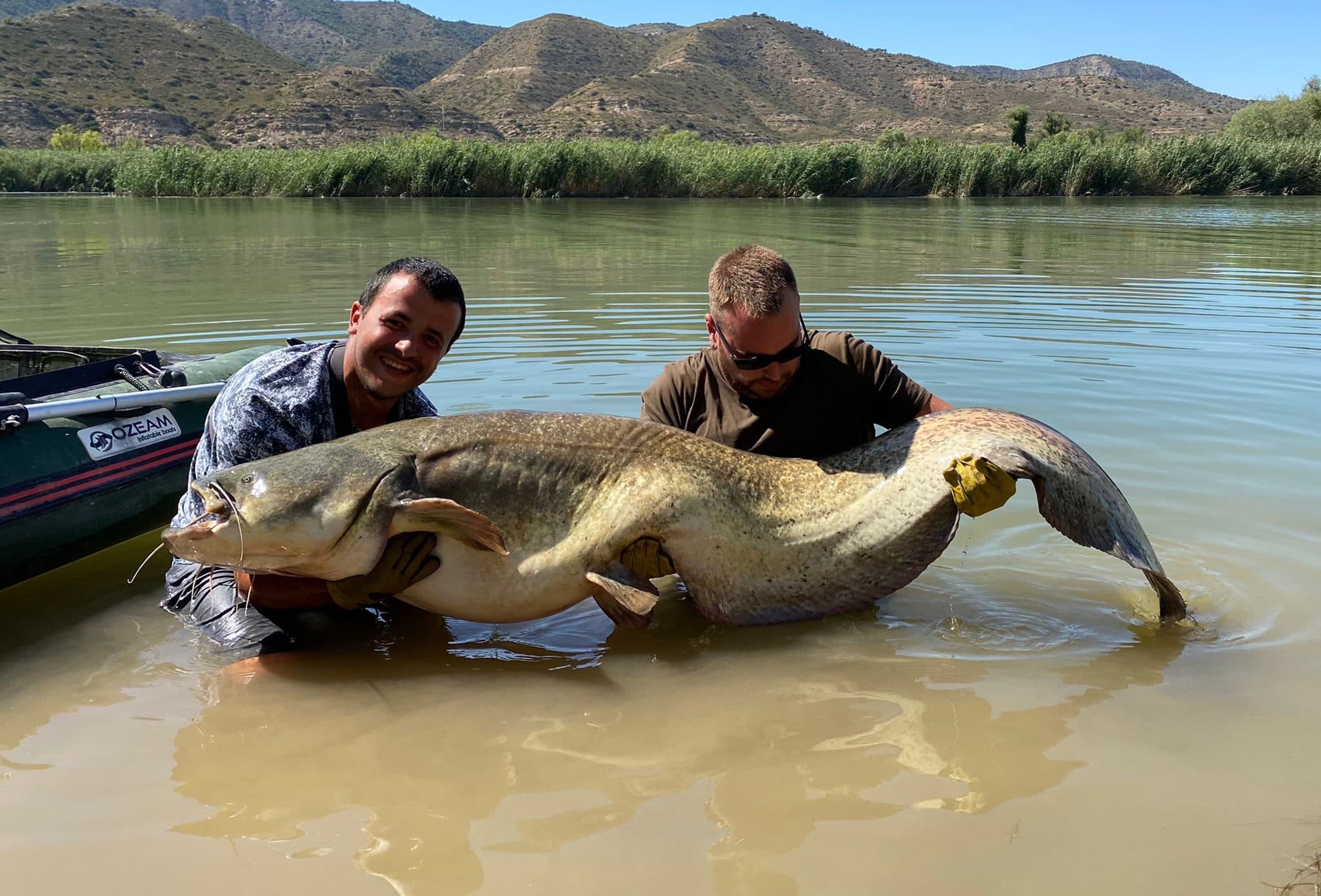 Mejores lugares para pescar siluros en España