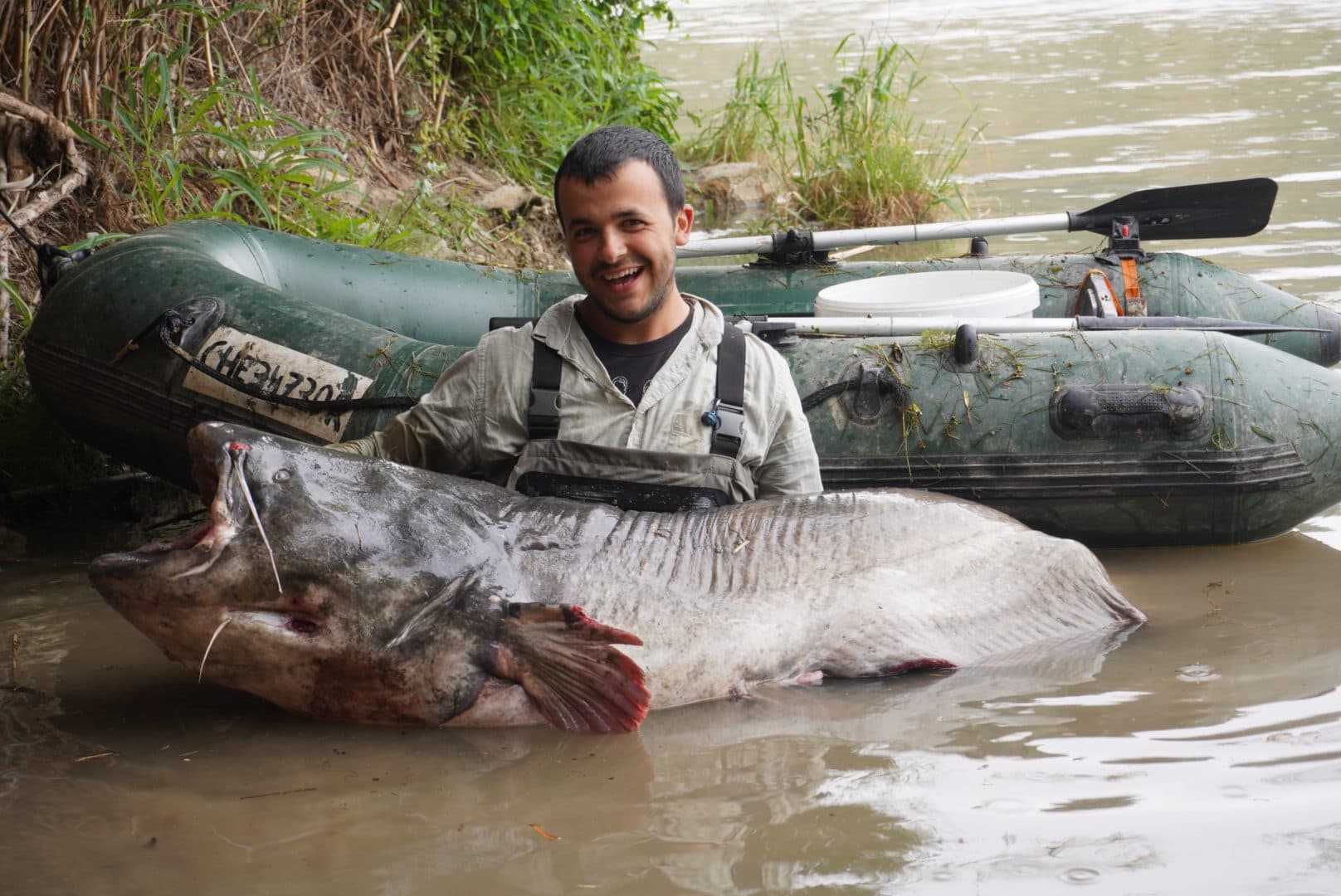 Historia de la pesca del siluro en España.