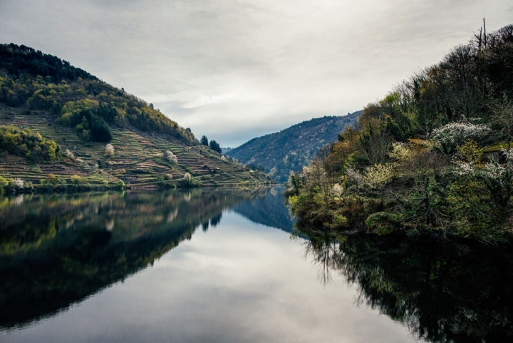 Pesca en el río Miño