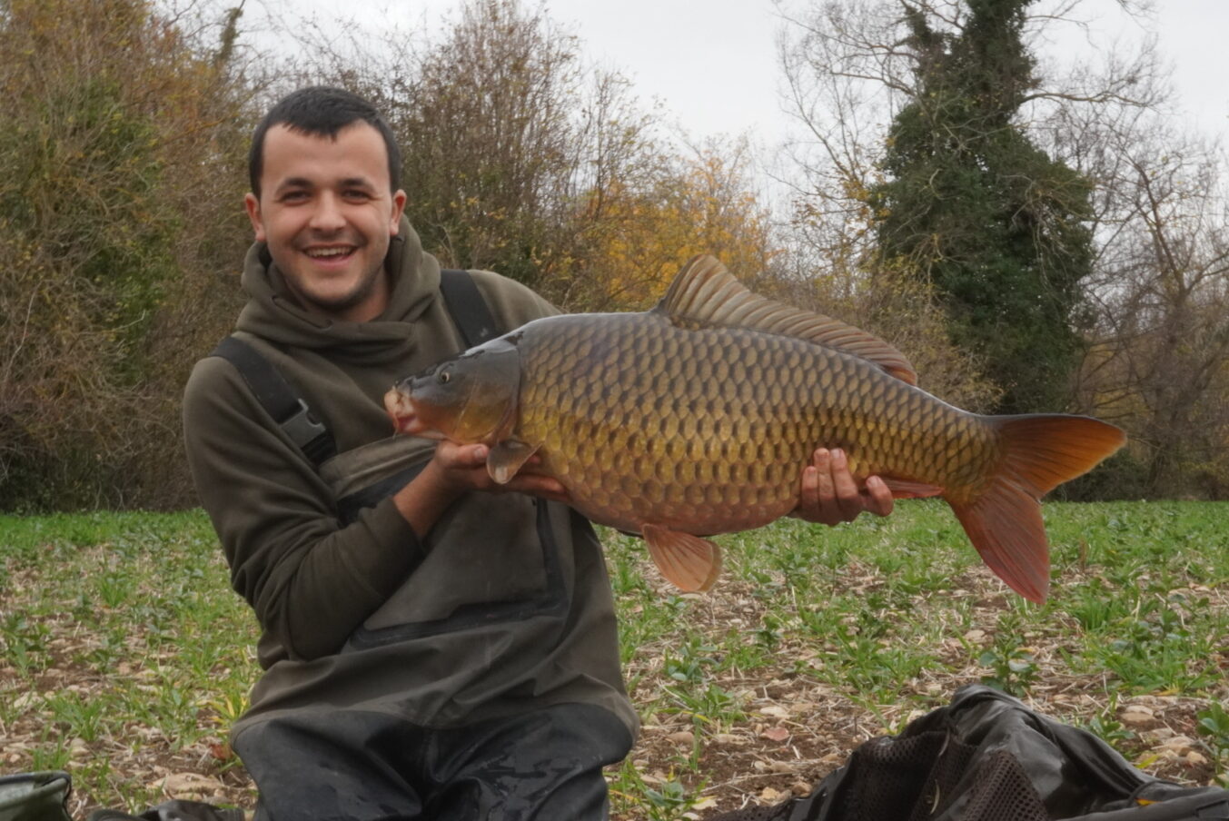 Carpa (Cyprinus carpio)