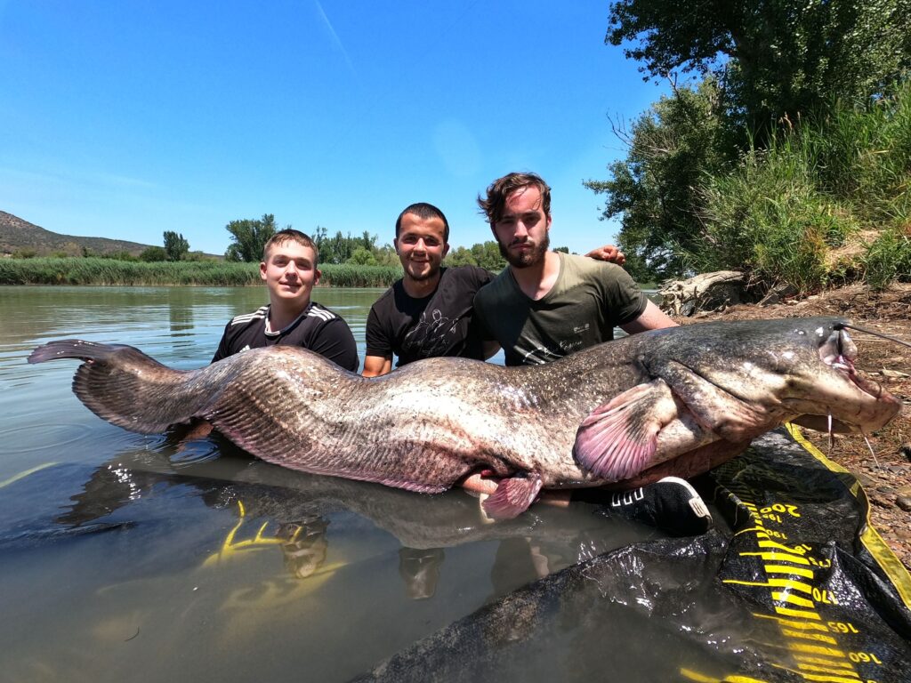 Impacto económico y social de la pesca deportiva