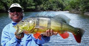 Conservación del medio ambiente con la pesca deportiva