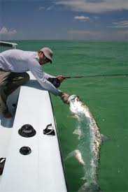 Conservación del medio ambiente con la pesca deportiva