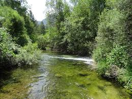 Restauración del Río Segura
