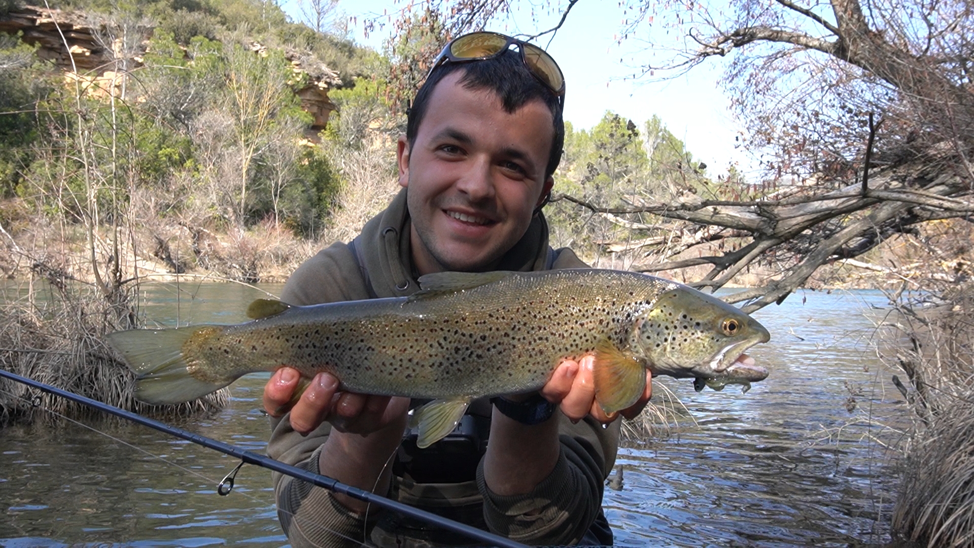 Trucha Común (Salmo trutta)