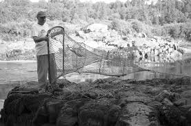 La historia de la Pesca del Barbo en España
