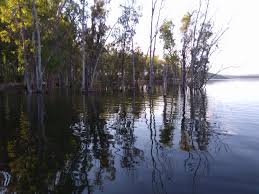 Carpfishing en el embalse de Horno Tejero