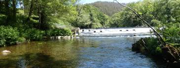 Mejores lugares para pescar salmones en España