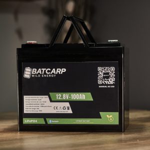Batería LiFePo4 LFP412100 12V – 100Ah