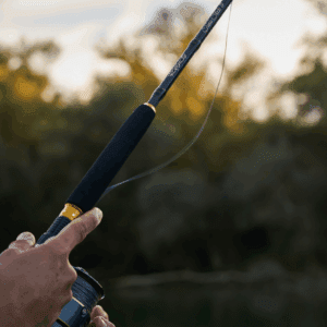 Caña de siluro para vertical y lance (1,90m-200gr acción)