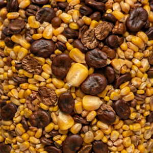 MIX SEMILLAS COCIDAS 5 kg en Zip (Maíz y Haba)