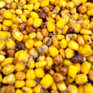 MIX SEMILLAS COCIDAS 2 kg al vacío (Maíz y chufa)