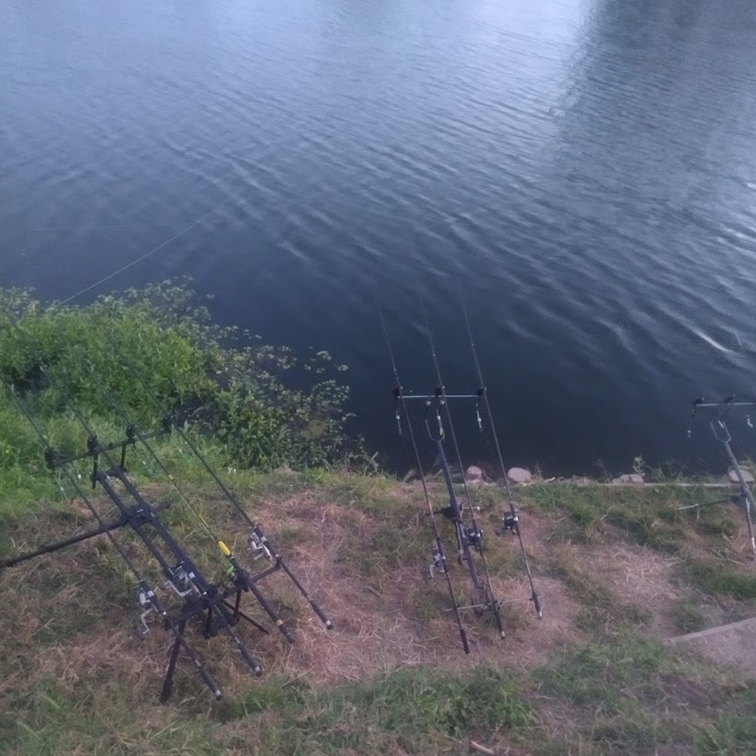 Finde de pesca en Francia para 4