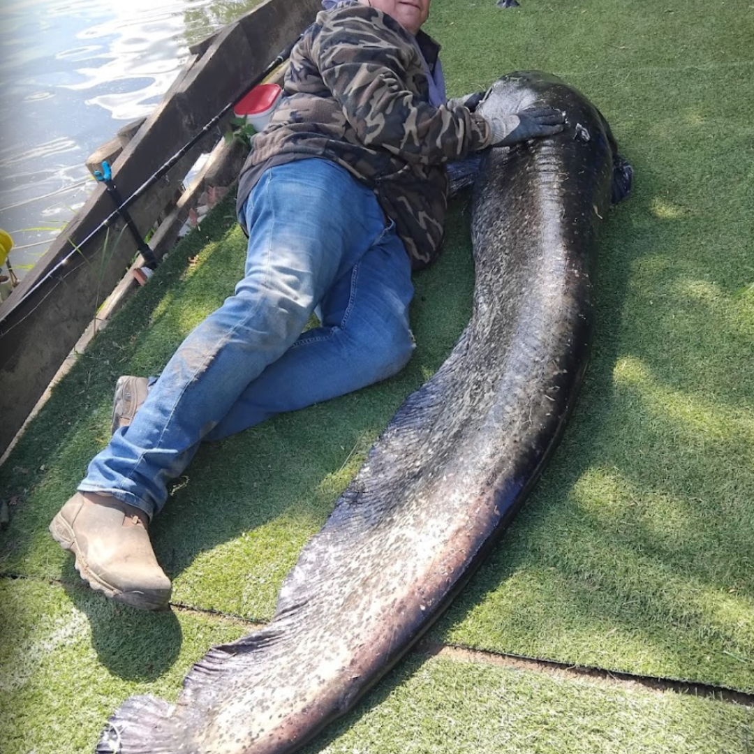 Finde de pesca en Francia para 4