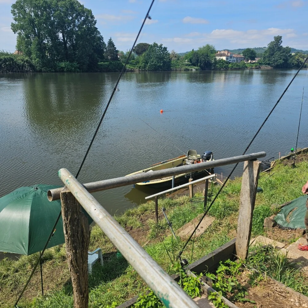 Finde de pesca en Francia para 4