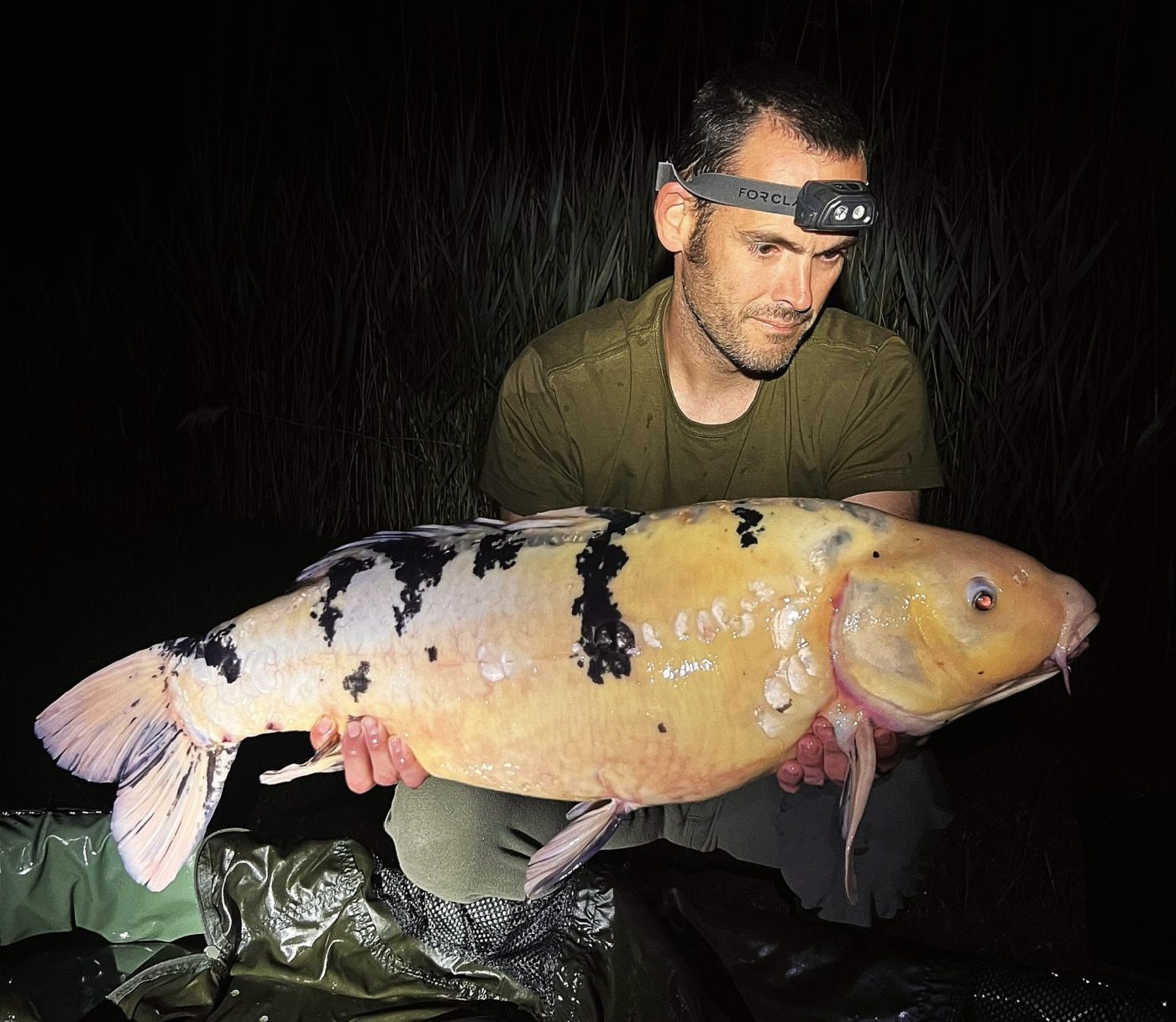 Dani AC