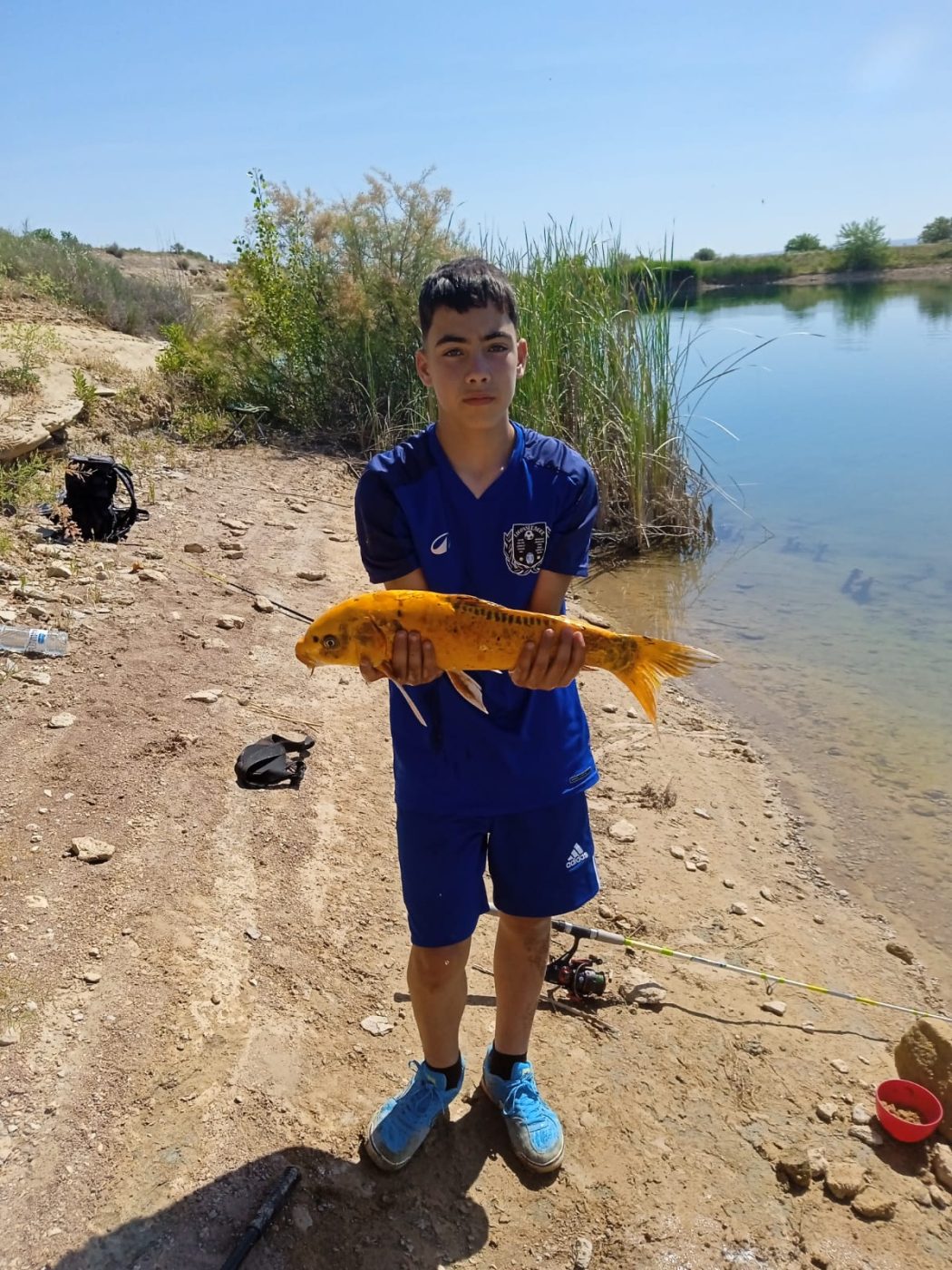 Jordi